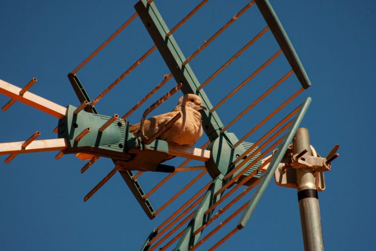 jenis antena