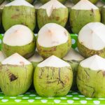 Kelapa muda