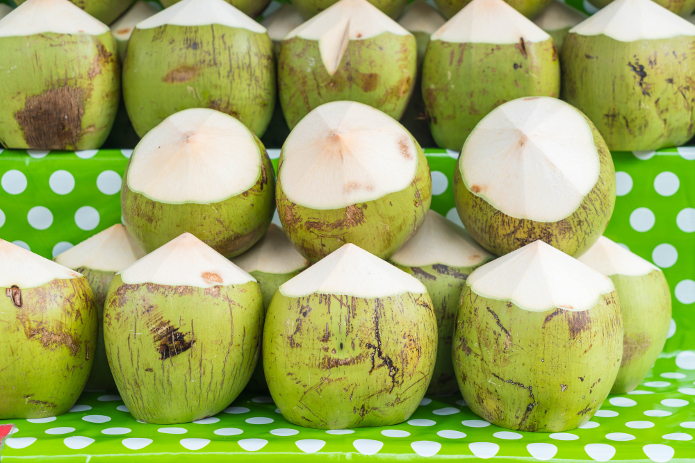 Kelapa muda