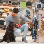 Bisnis pet shop
