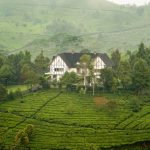 lahan membangun rumah