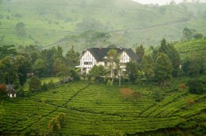 lahan membangun rumah