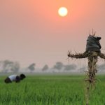 Orang-orangan sawah
